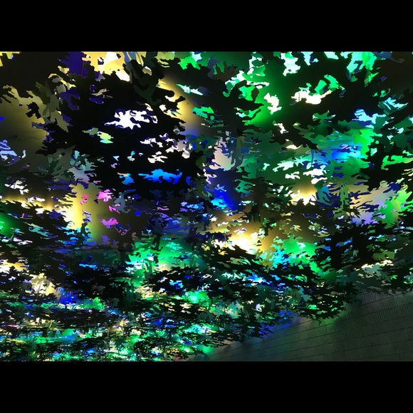 Meet your Posher, Ann - Picture 1 of 1